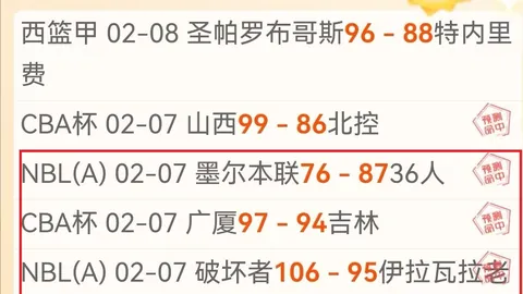 亚洲羽毛球混合团体赛：中印尼激战第二回合
